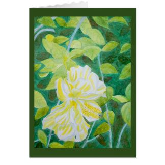 Dubbelwitte waterverf van hibiscus flower