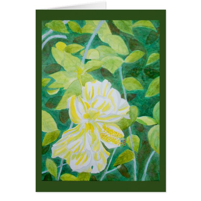 Dubbelwitte waterverf van hibiscus flower (Voorkant)