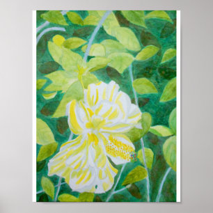 Dubbelwitte waterverf van hibiscus flower poster