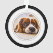 Dubbelzijdig fotosjabloon Cirkel acryl Ornament (achterkant)