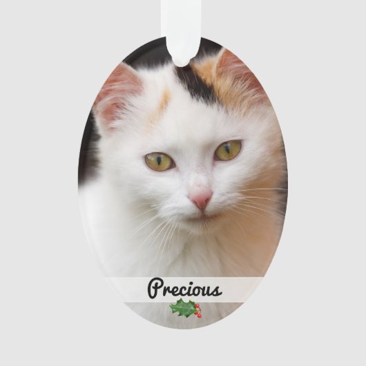 Dubbelzijdig gezelschapsdieren Fotonaam Acrylisch  Ornament (voorkant)