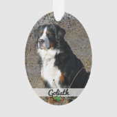 Dubbelzijdig gezelschapsdieren Fotonaam Acrylisch  Ornament (achterkant)