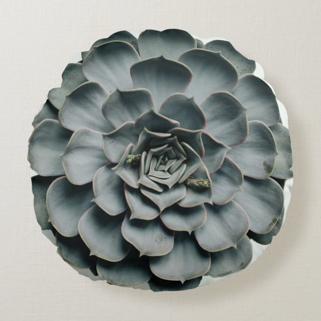 Dubbelzijdig Succulent Pillow Rond Kussen (Voorkant)