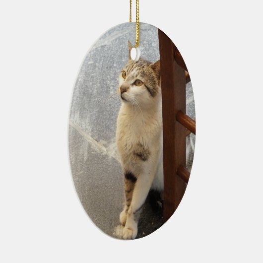 Dubbelzijdige kattenversiering keramisch ornament (Rechts)