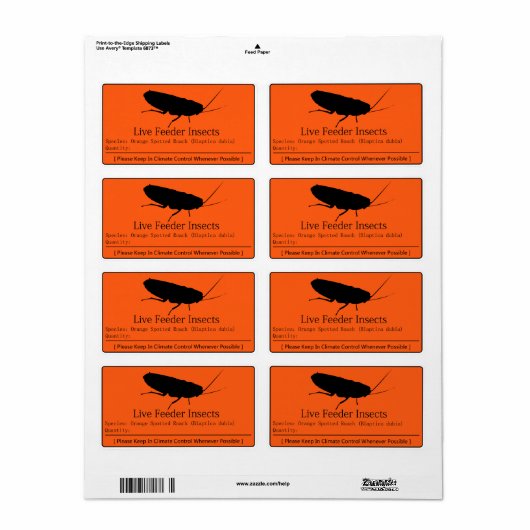 Dubia Roach Label (Full Sheet)
