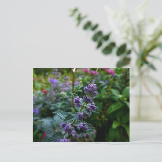 Dublin Blooms Briefkaart (Staand voorkant)