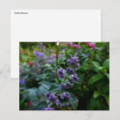 Dublin Blooms Briefkaart (Voorkant / Achterkant)