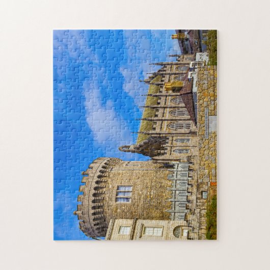 Dublin Castle Ireland. Legpuzzel (Verticaal)