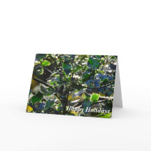 Dublin Green Holiday Kaart