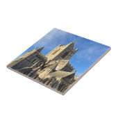 Dublin Ierland Christ Church Kathedraal landmark a Tegeltje (Zijkant)