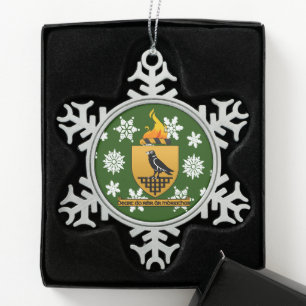Dublin Ierland Crest Irish Tin Sneeuwvlok Ornament