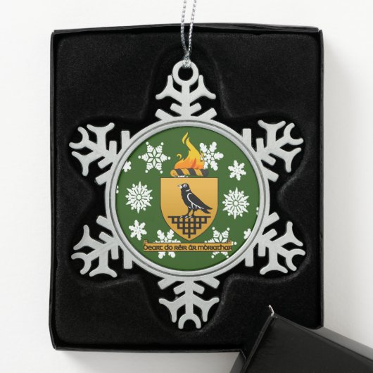 Dublin Ierland Crest Irish Tin Sneeuwvlok Ornament (Kistje)