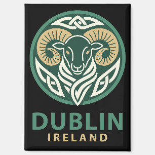 Dublin Ierland Europa Magneet