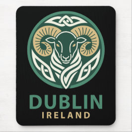 Dublin Ierland Europa Muismat