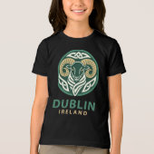 Dublin Ierland Europa Tri-Blend Shirt (Voorkant)