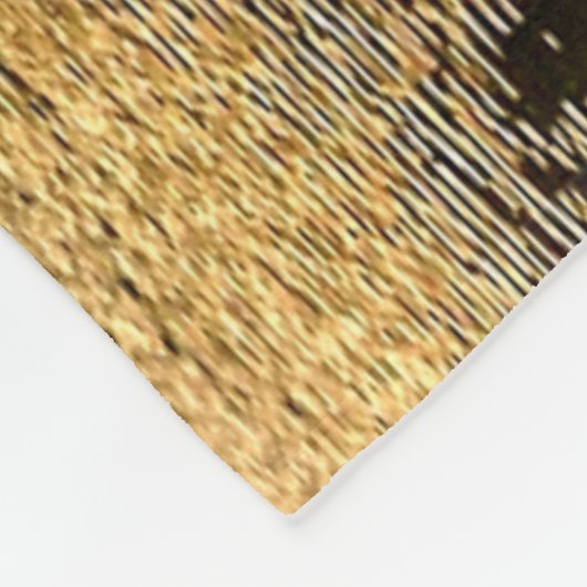 DUBLIN IERLAND FLEECE DEKEN (Hoek)