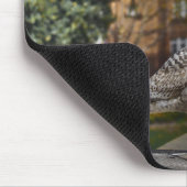 Dublin Ireland Bird on Brick Wall Muismat (Hoek)
