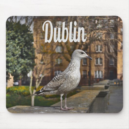 Dublin Ireland Bird on Brick Wall Muismat (Voorkant)