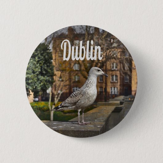 Dublin Ireland Bird on Brick Wall Ronde Button 5,7 Cm (Voorkant)
