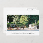 Dublin Ireland, Stephens Green Horse carrières Briefkaart (Voorkant / Achterkant)