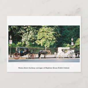 Dublin Ireland, Stephens Green Horse carrières Briefkaart