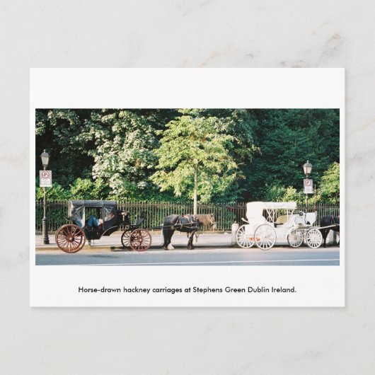 Dublin Ireland, Stephens Green Horse carrières Briefkaart (Voorkant)
