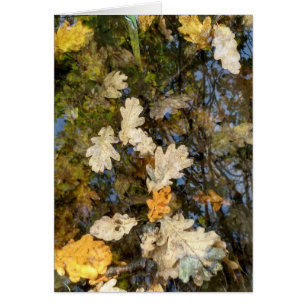Dublin Leaves