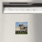 Dublin Magneet (Insitu (Vaatwasser))