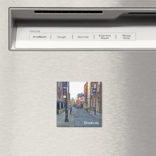 Dublin Magneet (Insitu (Vaatwasser))