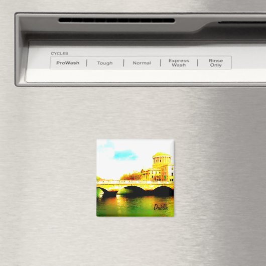 Dublin Magneet (Insitu (Vaatwasser))