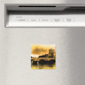 Dublin Magneet (Insitu (Vaatwasser))