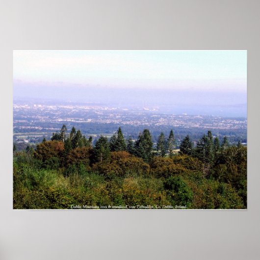 Dublin Mountains, landschap in Ierland Poster (Voorkant)