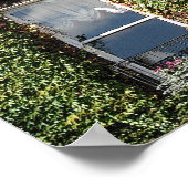 Dublin Town House Windows en climate ivy Poster (Hoek)