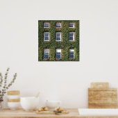 Dublin Town House Windows en climate ivy Poster (Keuken)