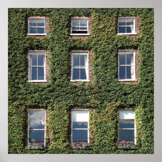 Dublin Town House Windows en climate ivy Poster