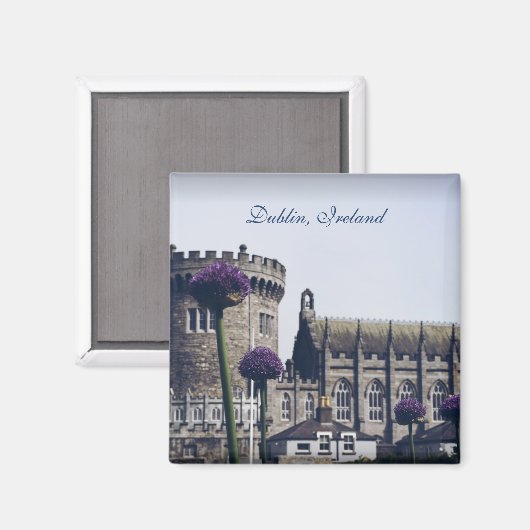 Dublinmagneet Magneet (Voorkant / Achterkant)