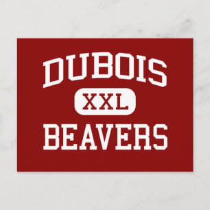 DuBois - Beavers - Area - DuBois Pennsylvania Briefkaart