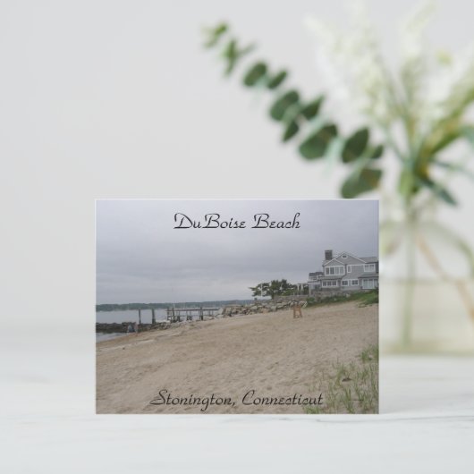 DuBoise Beach, CT Briefkaart (Staand voorkant)