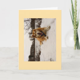 Ducati de wonderhond feestdagen kaart