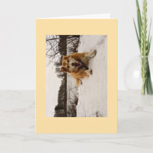 Ducati de wonderhond feestdagen kaart (Voorkant)