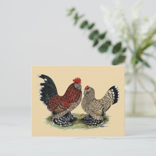 D'Uccle Bantams:  Mille Fleur Briefkaart (Staand voorkant)