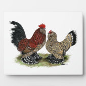 D'Uccle Bantams: Mille Fleur Fotoplaat (Voorkant)