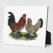 D'Uccle Bantams: Mille Fleur Fotoplaat (Zijkant)