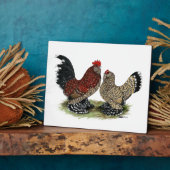 D'Uccle Bantams: Mille Fleur Fotoplaat (Zijkant)