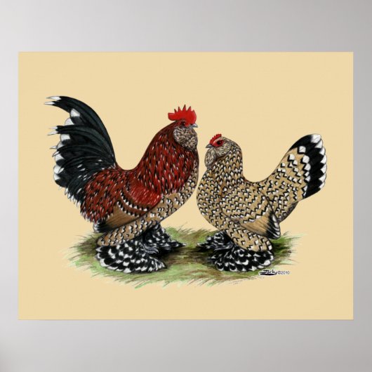 D'Uccle Bantams: Mille Fleur Poster (Voorkant)