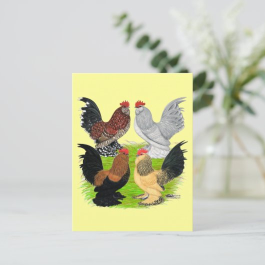 D'Uccles Four Roosters Briefkaart (Staand voorkant)