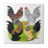 D'Uccles Four Roosters Tegeltje (Voorkant)