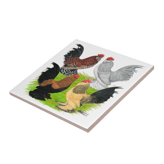 D'Uccles Four Roosters Tegeltje (Zijkant)