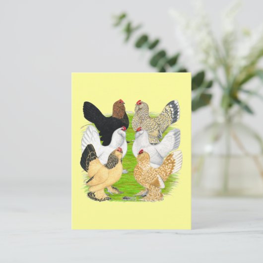 D'Uccles Six Hens Briefkaart (Staand voorkant)