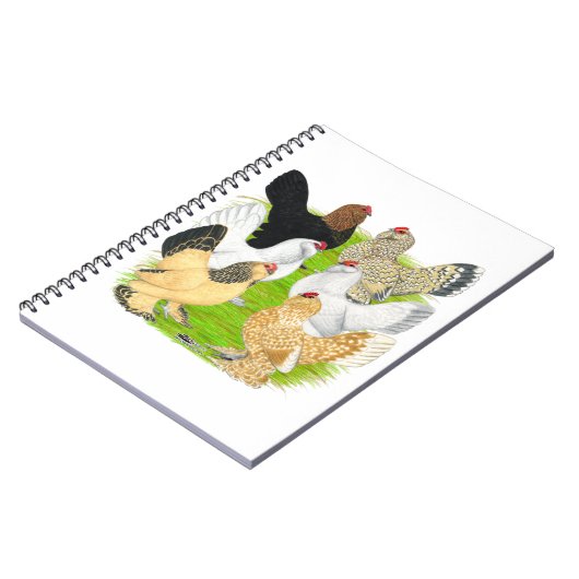 D'Uccles Six Hens Notitieboek (Linkerzijde)